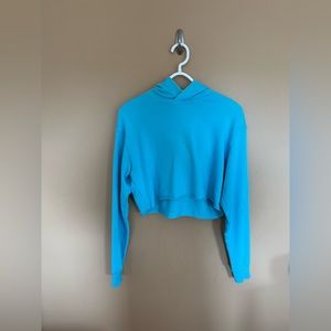 Size small TNA blue cropped hoodie from Aritzia.